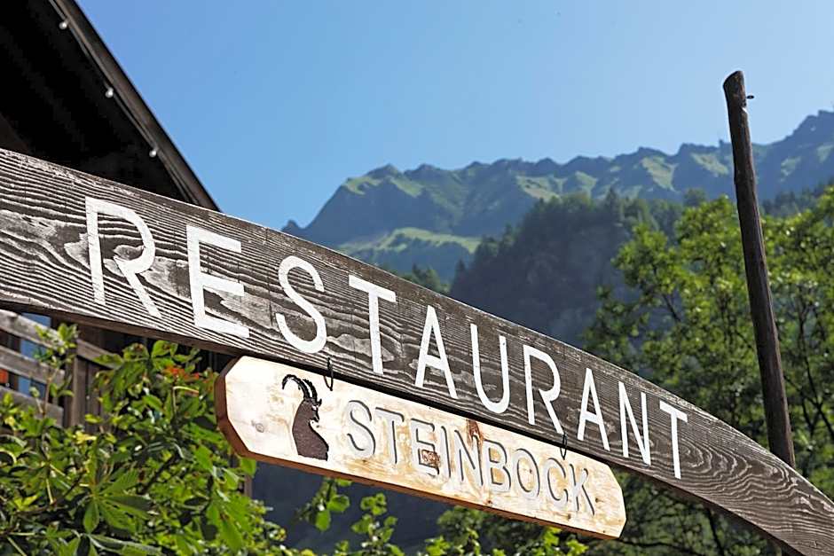 Hotel Steinbock