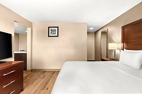 1 King Bed, Suite, Nonsmoking, Upgrade