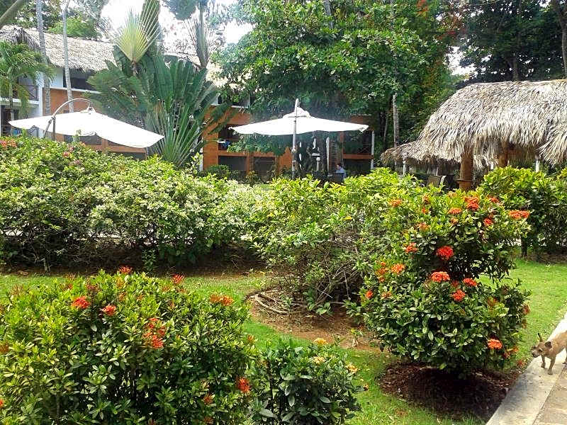 La Residencia Del Paseo