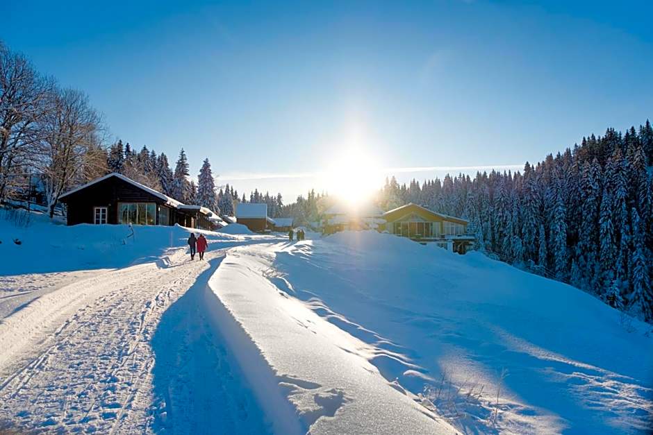 Kleivstua Hotel near Krokskogen