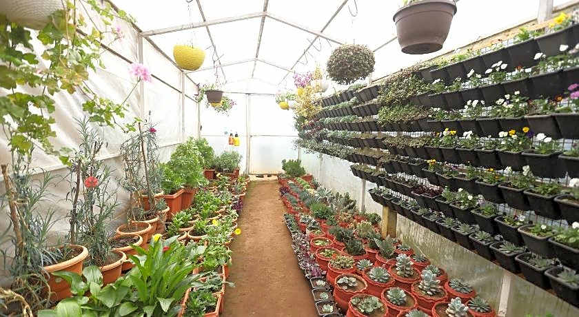 Delightz Inn Resorts