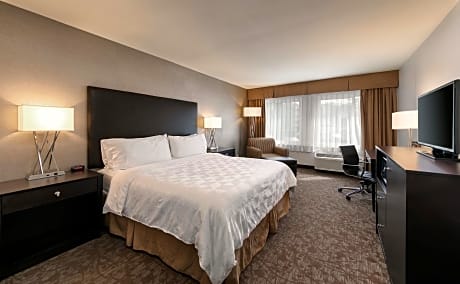 Premium King Room