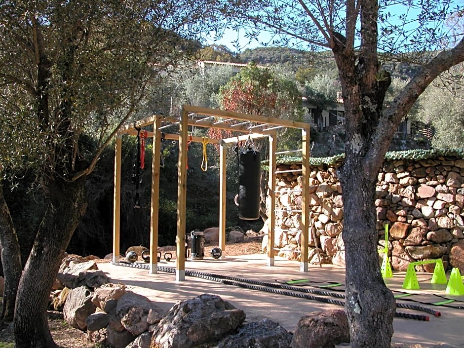 L'oliveraie du Fango