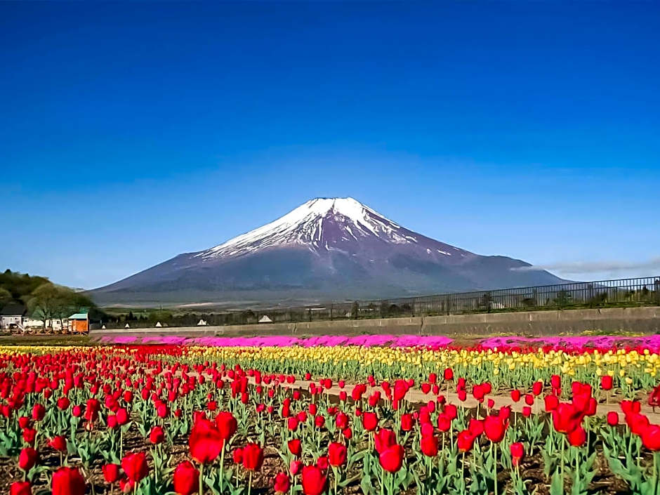 Minamitsuru-gun - Hotel / Vacation STAY 45535