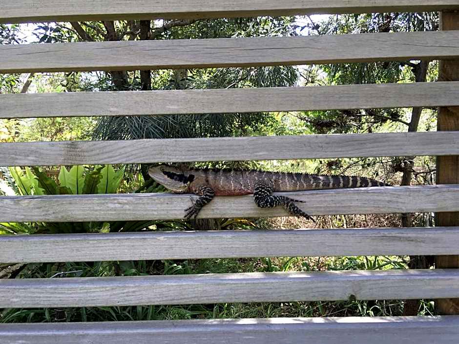 Discovery Parks - Lane Cove