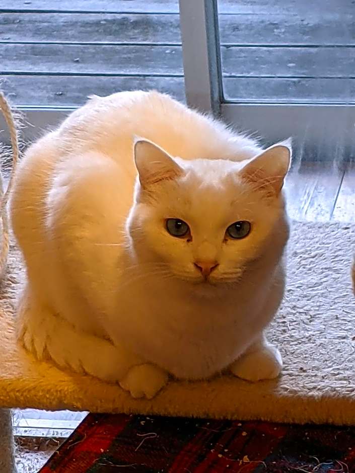 Pension Alba - Vacation STAY 70972v