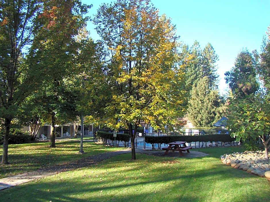 Ponderosa Gardens Motel