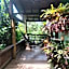 Pousada vale verde bungalows - Praia do Rosa