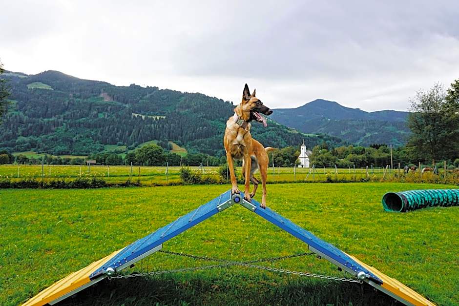 Chaletdorf ZellerSee