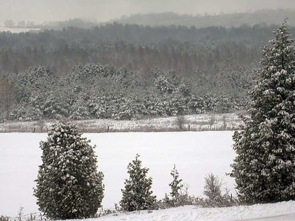 Our Valley View Bed & Breakfast