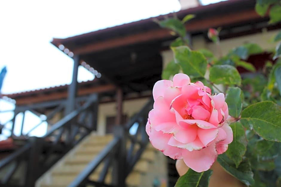 Casa da Aldeia da Avó