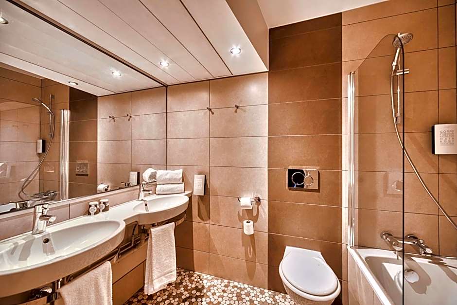 Kyriad Prestige Mulhouse - Basel