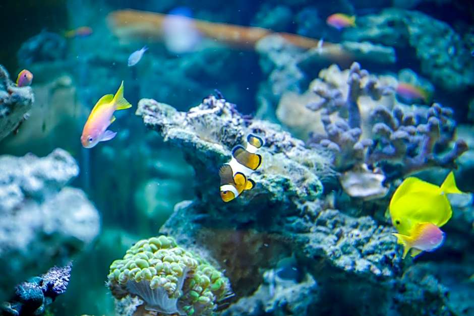 Boutiquehotel Das Tyrol