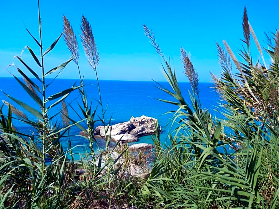 B&B La Petite Maison