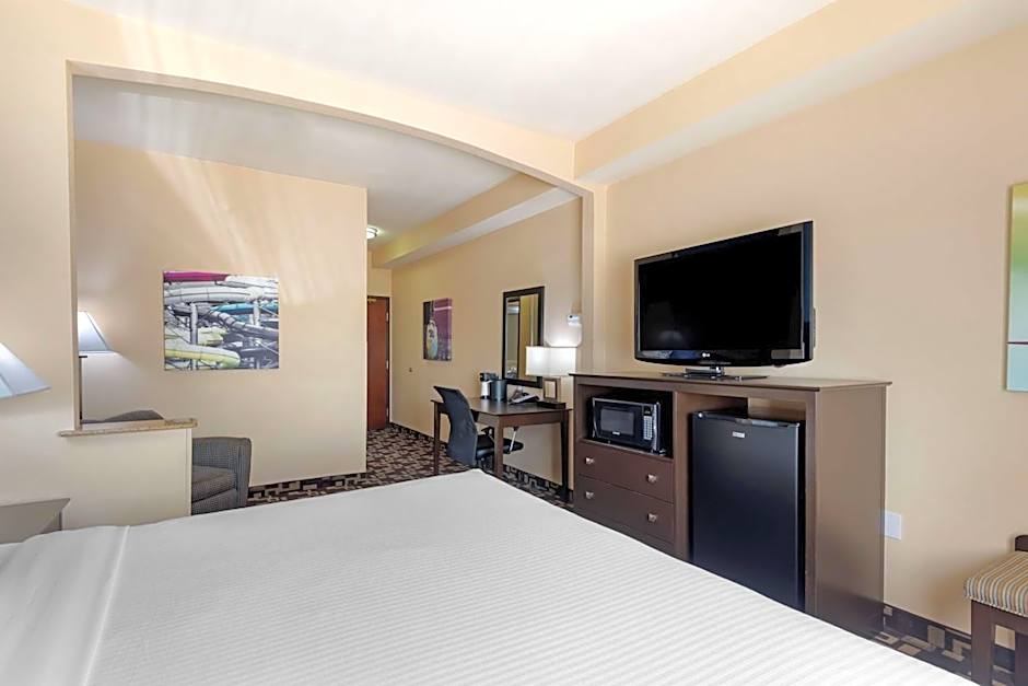 Best Western Plus Arlington North Hotel & Suites