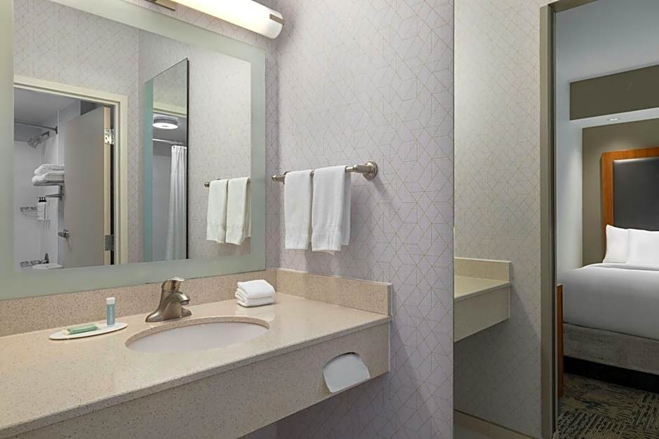 SpringHill Suites by Marriott Winston-Salem Hanes Mall