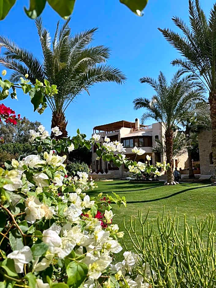 palm shadow resort