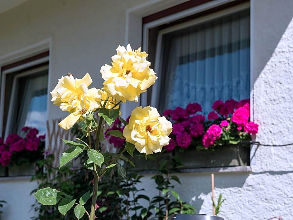 Guesthouse Pension Grafenstein