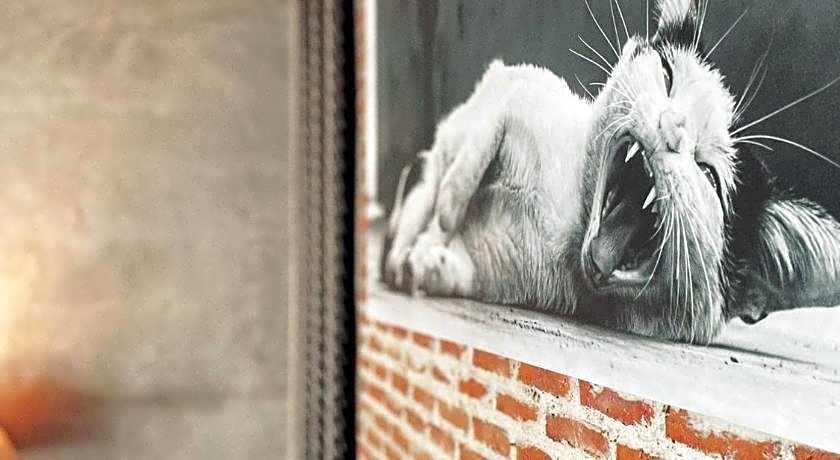 Yotaka The Hostel @Bangkok