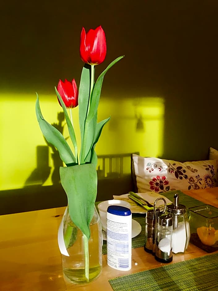 Apartmenthaus Sonnen