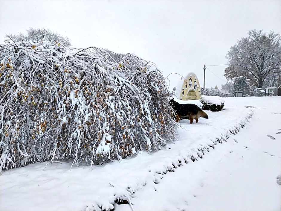 Landhotel Waldschlößchen mit Gaststube