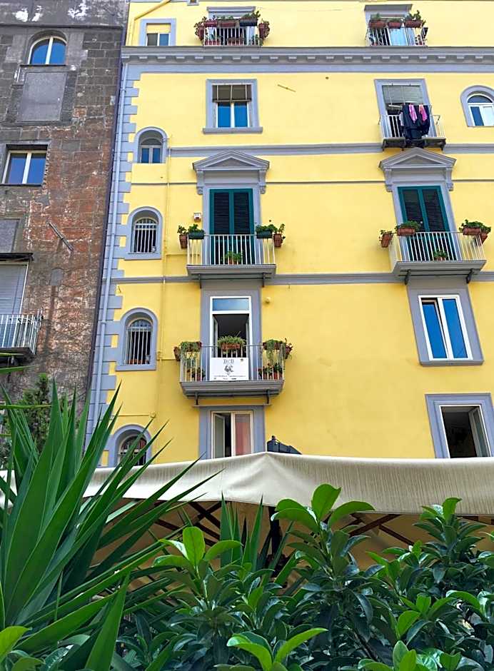 B&B Bellini