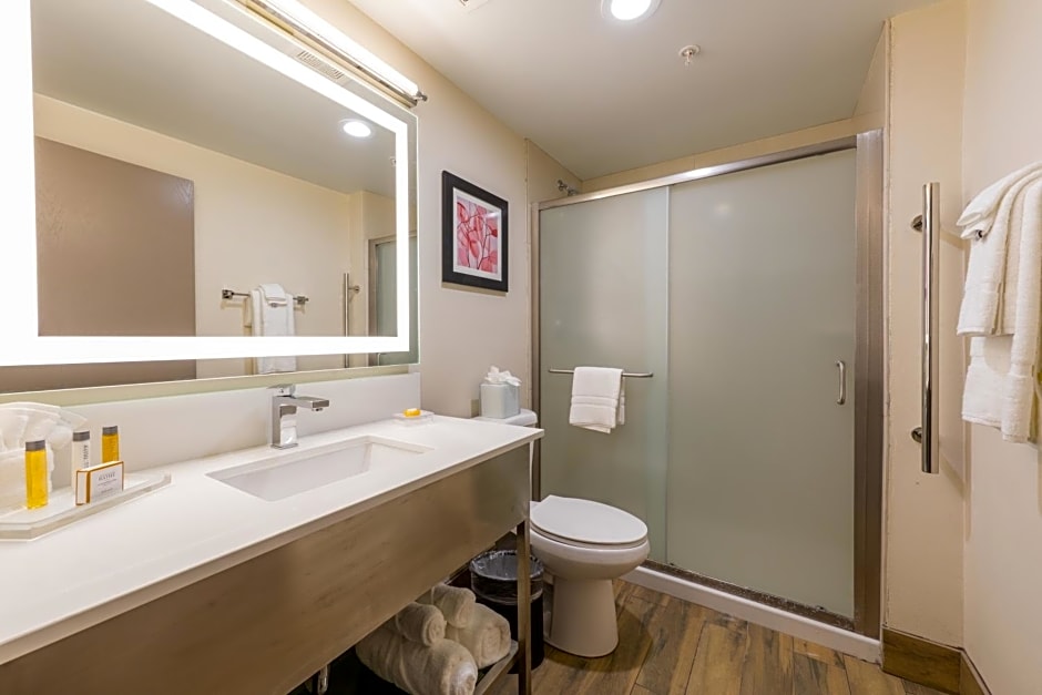 Holiday Inn Brookfield - Milwaukee By IHG
