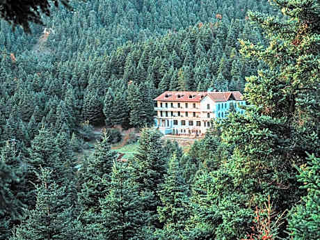MANNA, a Member of Design Hotels