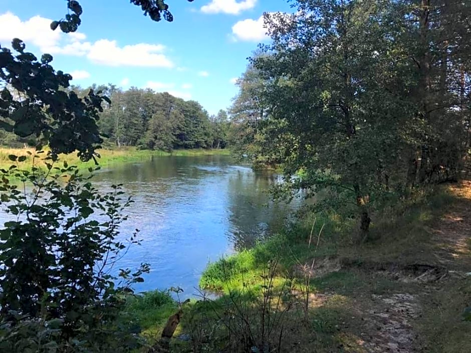 Zacisze Leśne nad Pilicą