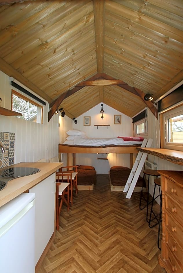 Dartmoor Reach Alpaca Farm