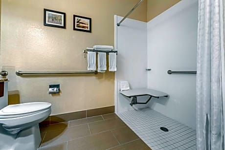 Queen Room - Accessible/Non-Smoking