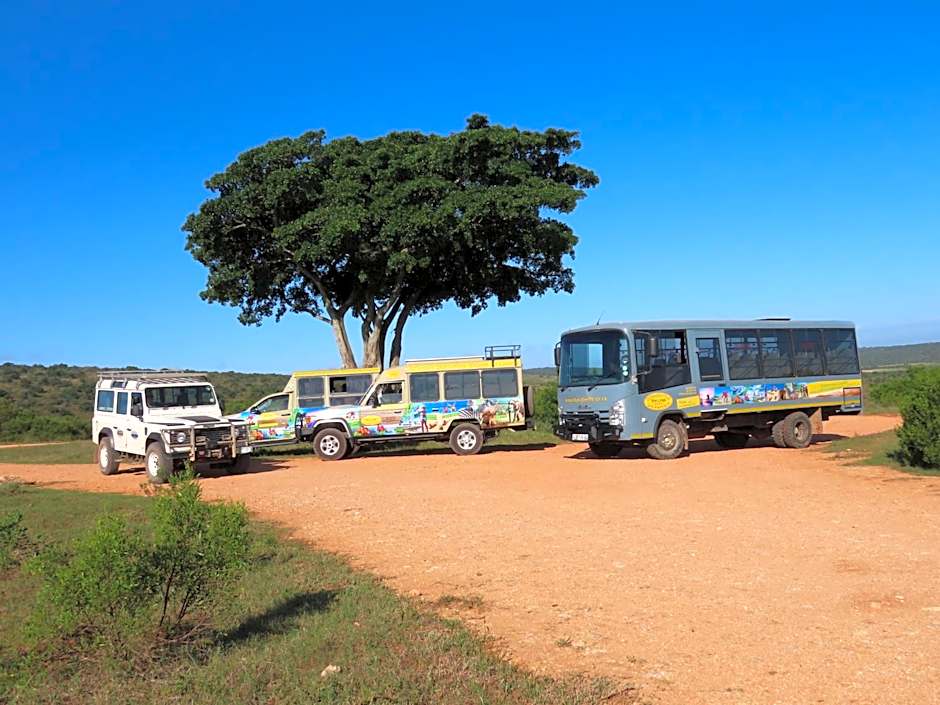 Dungbeetle River Lodge