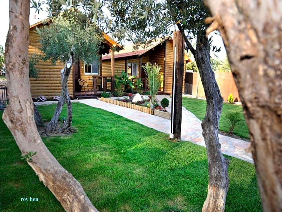 Good Zimmer With Love