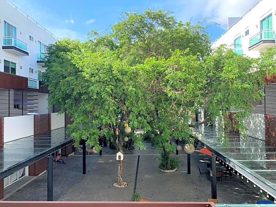 San Pedro Hotel, 5ta Avenida
