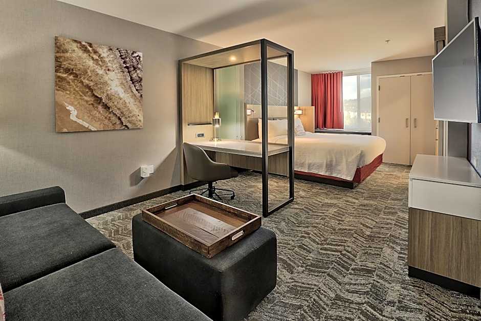 Springhill Suites by Marriott Durango