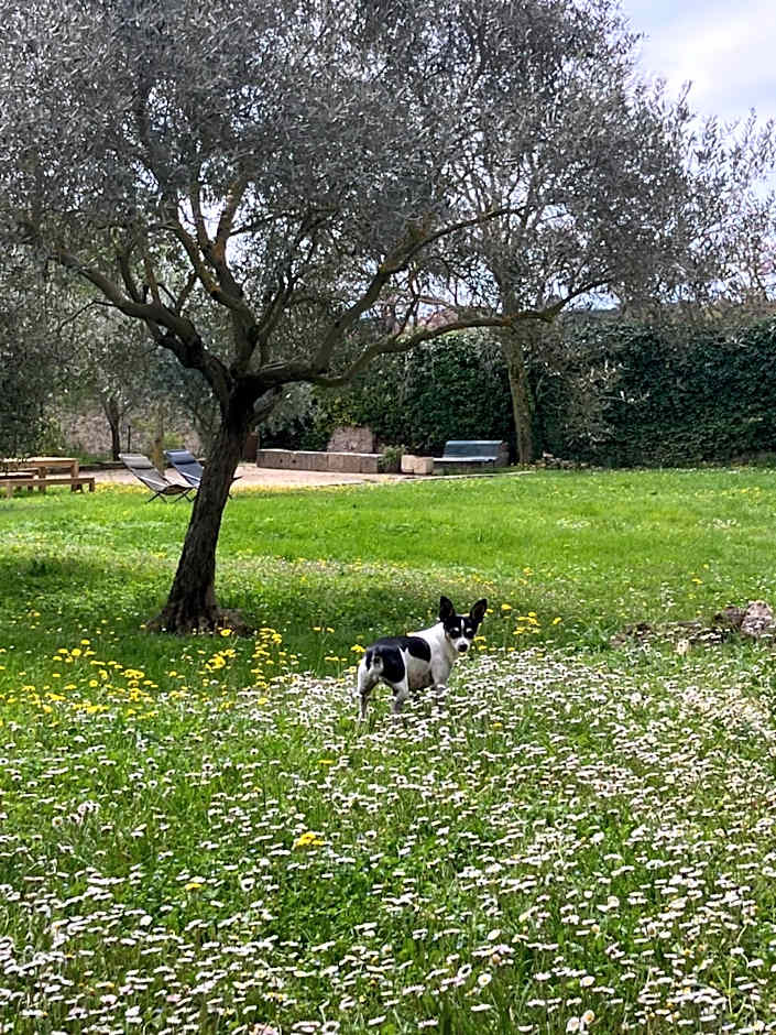 Hotel Le Moulin du Château