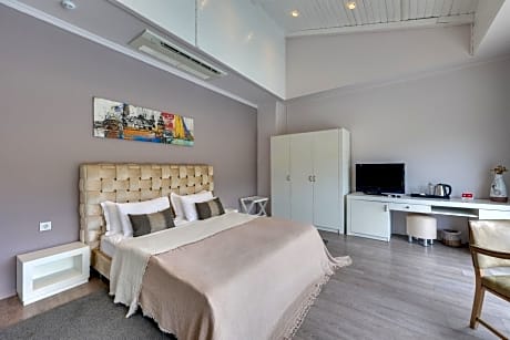 Junior Suite with Terrace