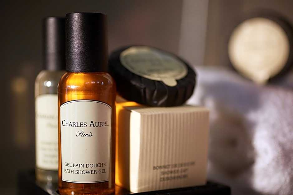 HOTEL BEAUGRENELLE SAINT CHARLES TOUR EIFFEL