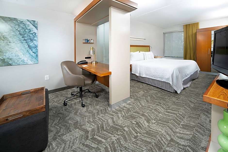Photo 1 of 4 of Studio 1 King Bed