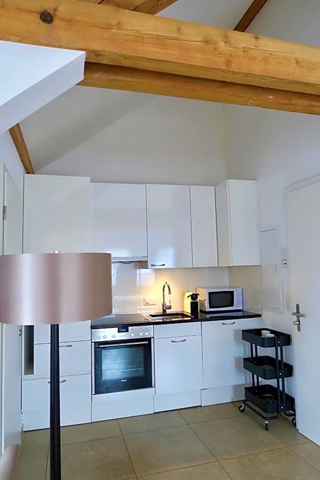 Zurich Furnished Homes