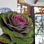 Posada de la flor