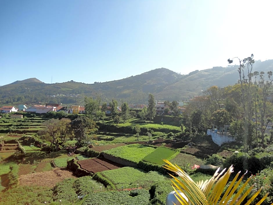 Mount 'n' Mist Hotel