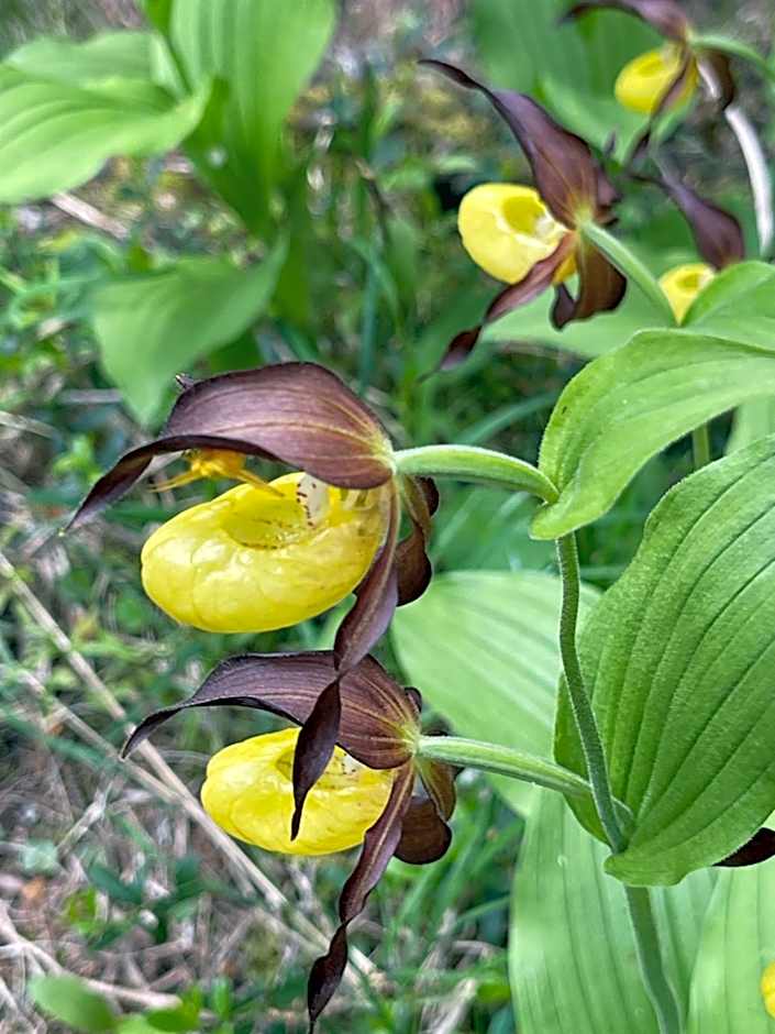 Berghotel Gasterntal