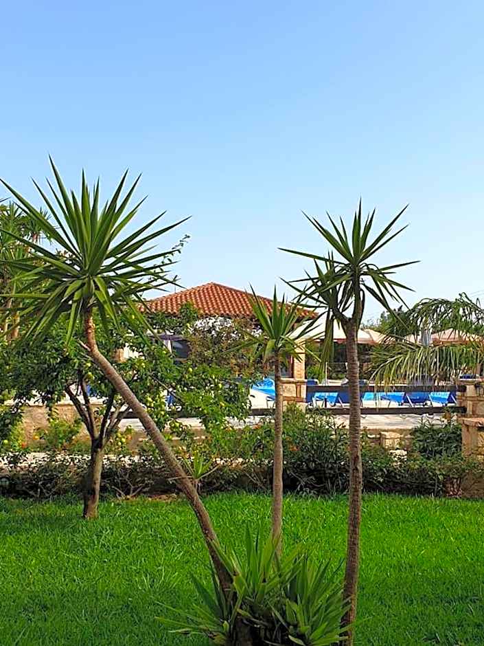 Daniel Hotel