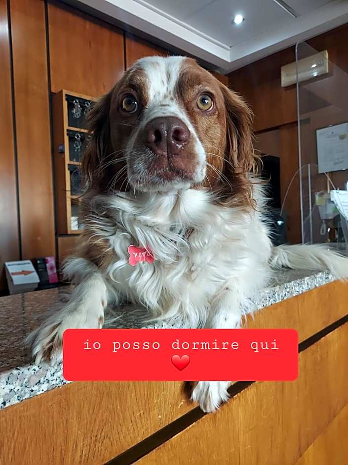 Montebello Park Hotel