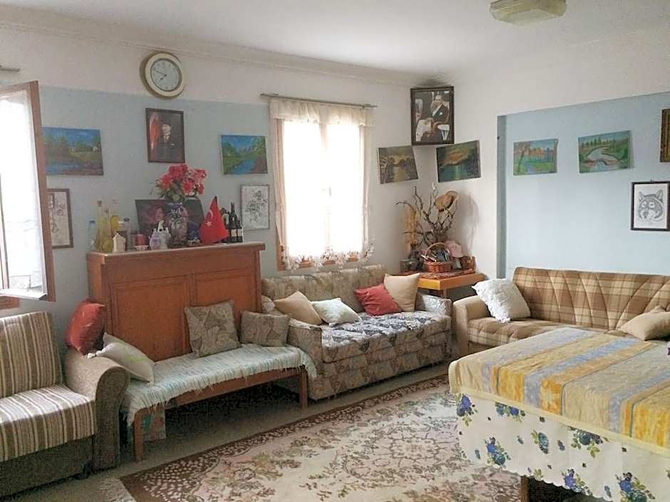 Parmis Rooms