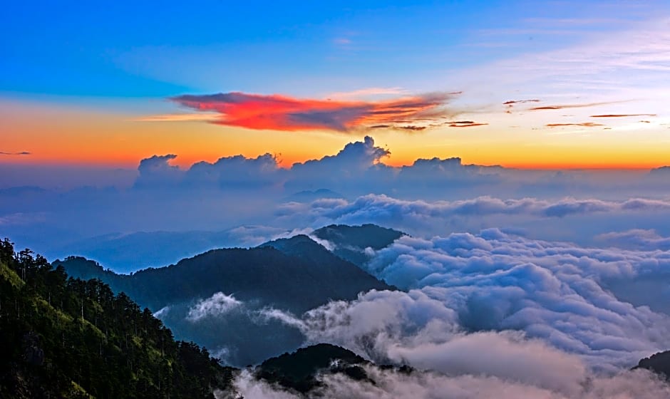 Margaret Garden Homestay B&B