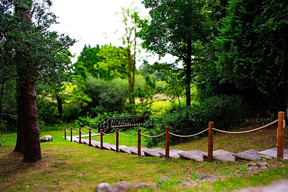 Ty Newydd Country Hotel
