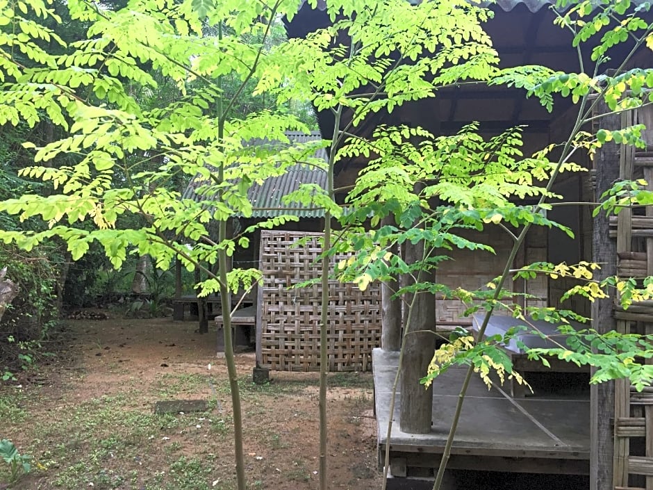 Emerald Gecko Resort-Neil Island