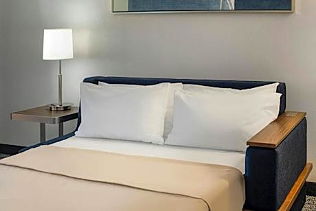 Larger Studio, 2 Queen, Sofa bed